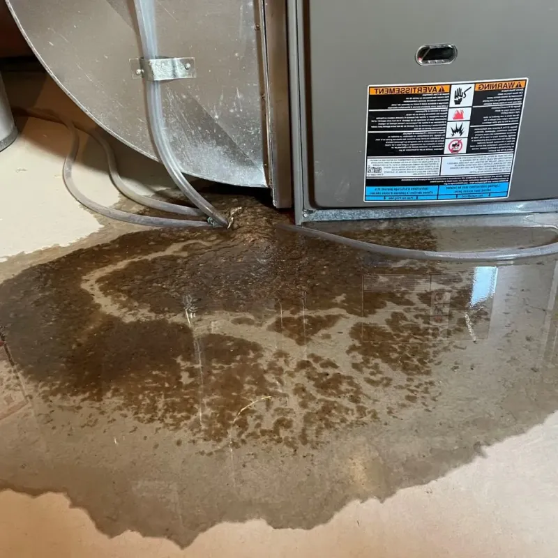 Pipe Burst and Leak Restoration in Fairfax, IA