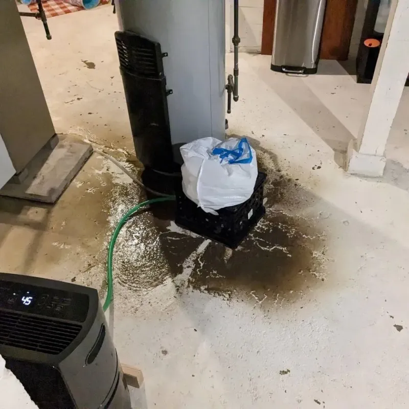Sewage Backup Cleanup Service in Fairfax, IA